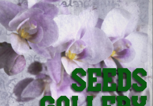 Seeds gallery